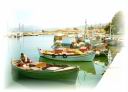 Boats100Fo.jpg