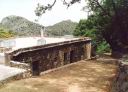Milia012F100o.jpg