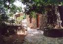 Milia019F100o.jpg